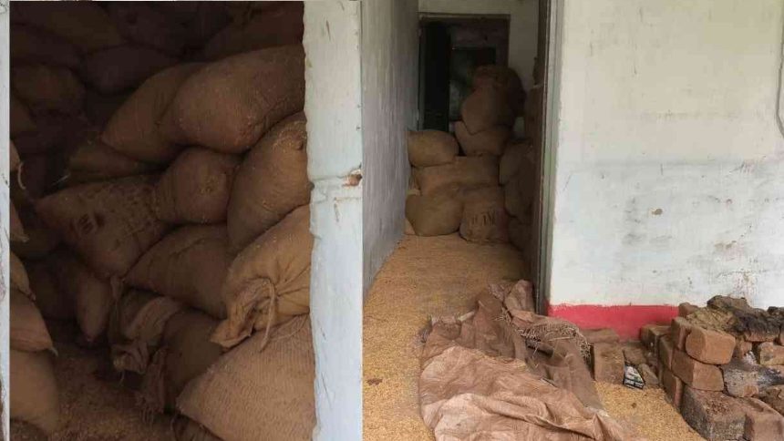 Chhattisgarh Paddy Scam : सरकारी भवन से बरामद हुआ 500 कट्टा 'काला धान'? 