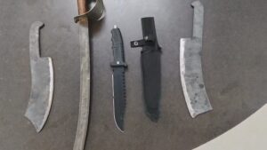 Police Action: हथियार 