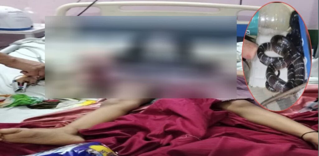 SnakeBite Awareness : सांप के काटने से मासूम बच्ची की मौत, परिवार में मचा कोहराम...