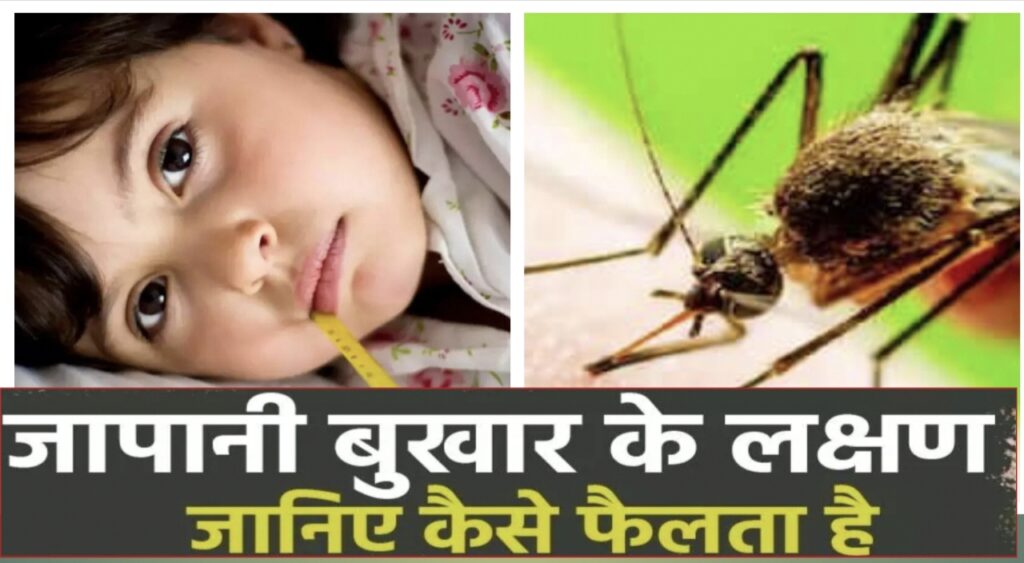 Japanese Encephalitis in Bastar : जापानी बुखार की दस्तक: JE से अब तक दो मौतें, 19 मरीजों की पुष्टि,