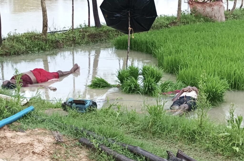 Farmer Couple Death : हाई वोल्टेज करंट की चपेट में आए किसान दंपती, खेत में दर्दनाक मौत, 