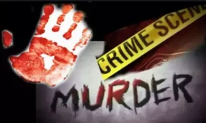 Durg murder case : भाई बना भाई का कातिल, कुल्हाड़ी से वार कर ली जान, 