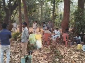 बलरामपुर त्रिपुरी के सरनाटोली गांव में मिली अफीम की फसल।